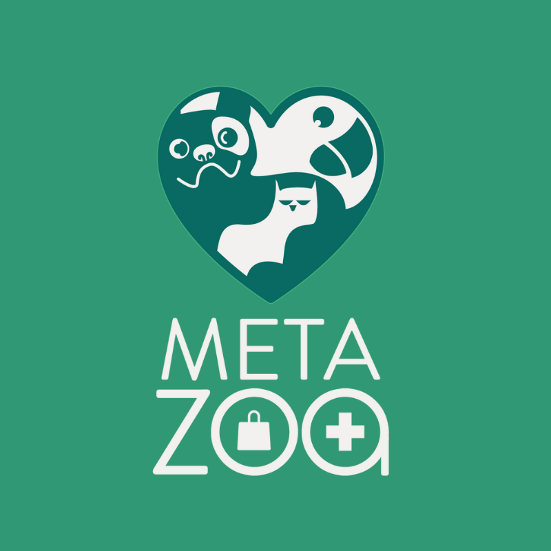 MetaZoa Clínica Veterinária e Pet Shop – presença digital otimizada
